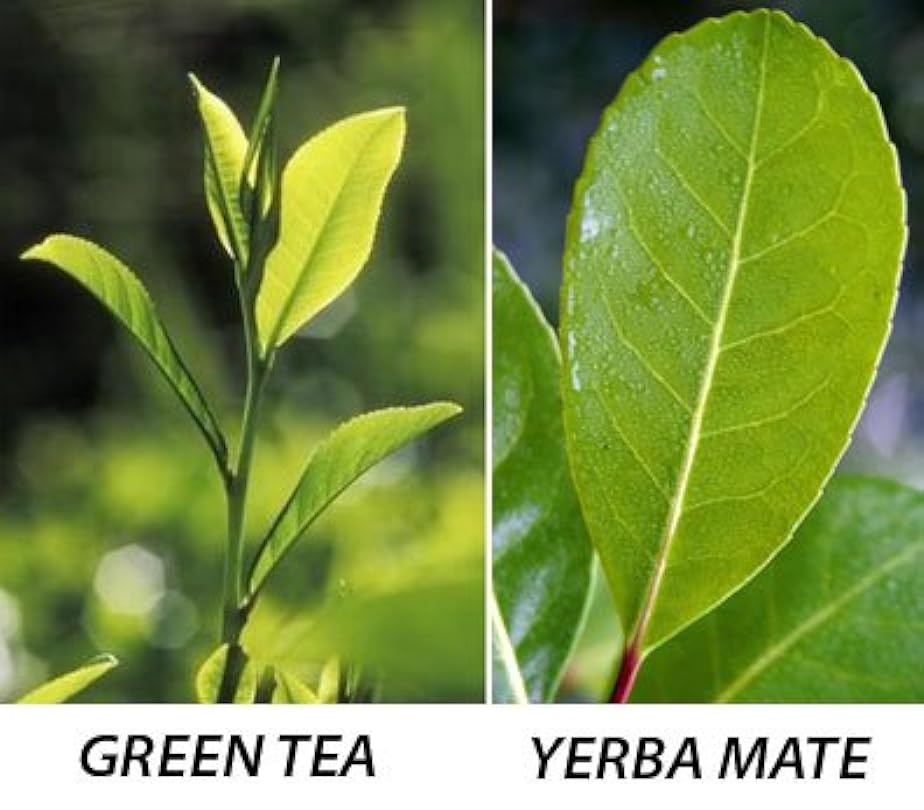 Yerba Mate Tea - Loose Leaf by Nature Tea (8 oz) 176745228