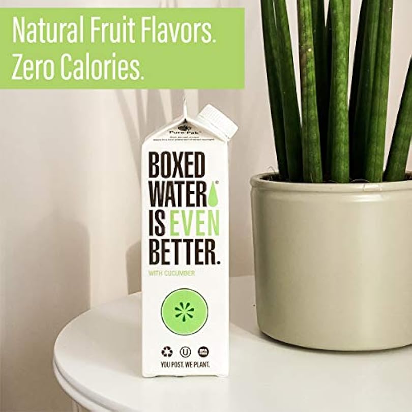 Boxed Water 16.9 oz. 12 Pack Cucumber Flavored - Purified Drinking in 92% Plant-Based Boxes – Zero Calories & Sugar Free More Sustainable than Plastic Bottled 209407386