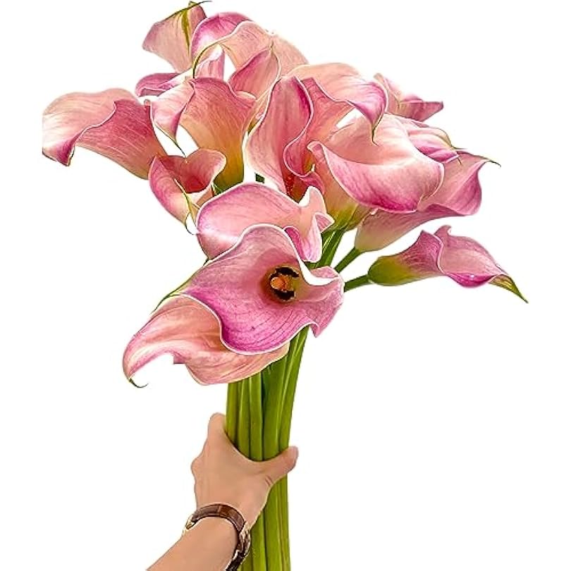 10 Fresh Pink Calla Lily Flowers DIY Flower Arrangement Gifts for Home Decoration, birthdays, Anniversaries, Healing sympathy Friendship and love 226040406