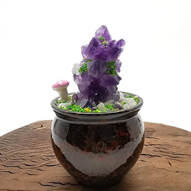 0.445Kg Natural Dream Amethyst Cluster Bonsai Carved Crystal Decorate/Healing 236503903