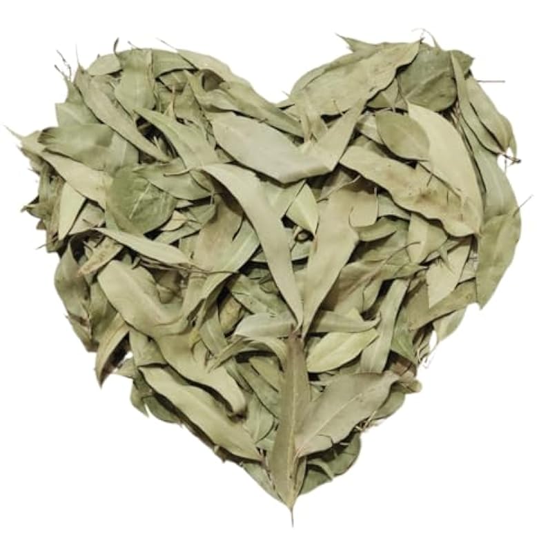 Yerbero Premium Eucalyptus Leaf Tea - Whole Dried Leaves 1 LB 16oz/453g 1600 Full for 400 Cups Natural  Brew Fresh Flavorful Hoja Eucalipto Crafted by Nature Pure Enjoyment 532286356