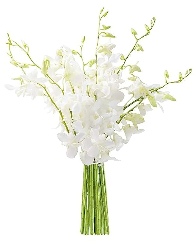 Seraphic Sympathy Whisperings Bouquet of 10 White Orchid Gift for Valentine Mother’s 59752969