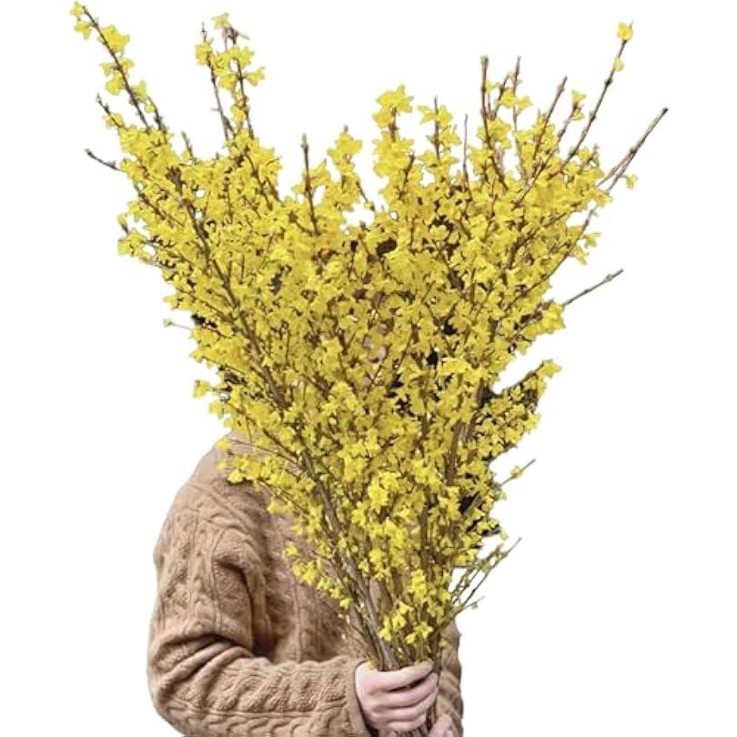 10 Stems Fresh Cut Forsythia Flowers IDY Hydroponic Flower Arrangement Gifts For Home Decoration Birthdays Anniversaries Healing Sympathy Friendship and Love 83734043