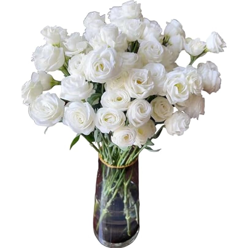 10 White Platycodon Flowers Hydroponic Home Flower Arrangement Mother's Day Birthday Gift Love Anniversary Los Angeles Flower 967903304